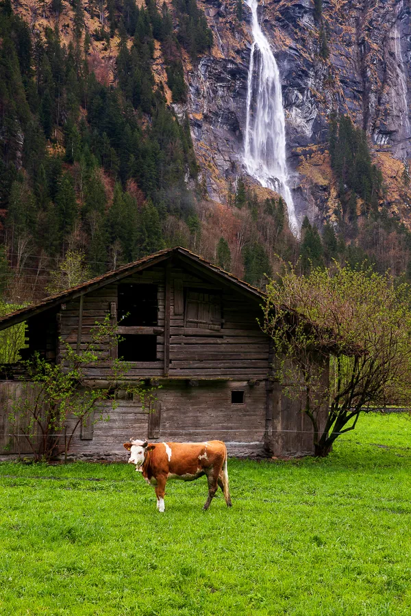 welcome to Switzerland!