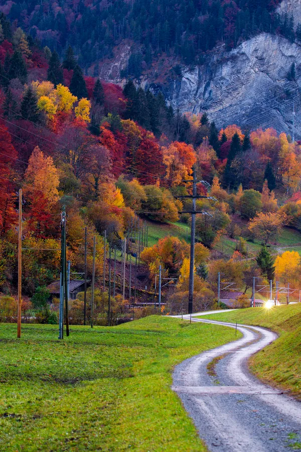 autumn is my favorite color